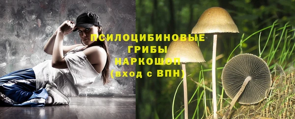 mix Арсеньев